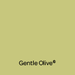 antonio_gentle_olive